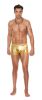 Men's Gold Lame Boxer Brief