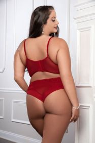 Cinnamon Red 2pc Satin Bra and High Waist Panty