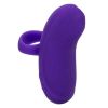 Envy Handheld Rolling Ball Massager