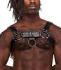 Aries Leather Harness