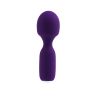 Wini Rechargeable Mini Wand