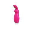 Crazzy Bunny Rechargeable Bullet